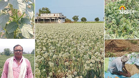 Year round farming model for farmers