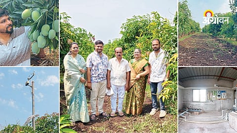 Successful Kesar mango farming in Maharashtra