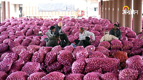 Agriculture export impact due to war