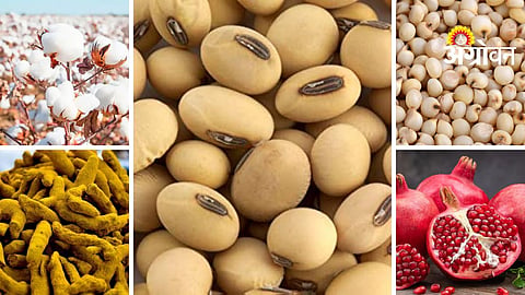Agrowon Podcast