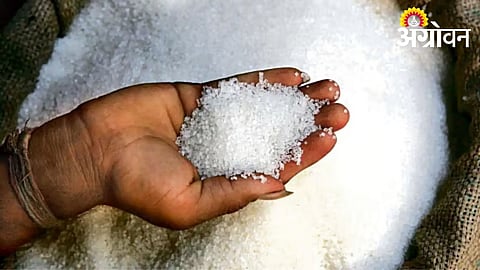 India Imposes Ban on Sugar Exports Till September Amid Supply Concerns