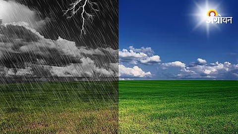 Rain Update