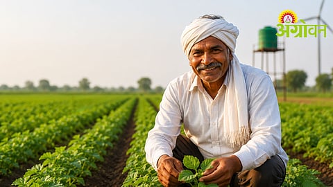 Farmer Support Scheme