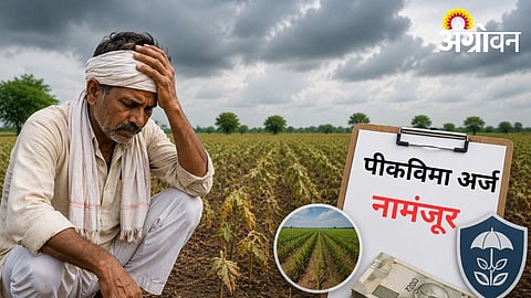 Over 10,000 Farmers Still Excluded from Crop Insurance in Dharashiv District
