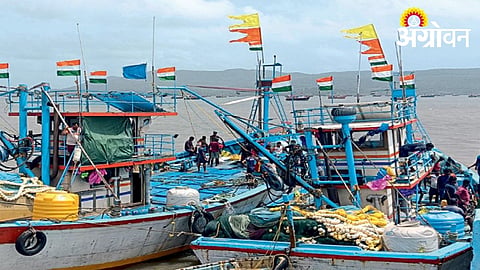 Middlemen Profit While Fishermen Face Losses in Raigad