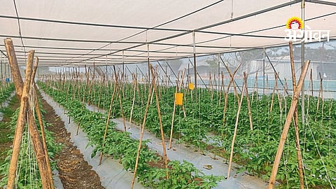 Fogging System Control