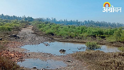 Coastal erosion and damaged bunds create crisis for fishermen and farmers