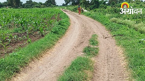91 Farm Roads Approved in Savner-Kalmeshwar Under Baliraja Scheme