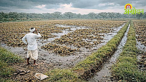 Farmers protest against crop insurance discrimination in Washim district