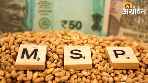 Maharashtra farmer leaders react to new MSP announcement