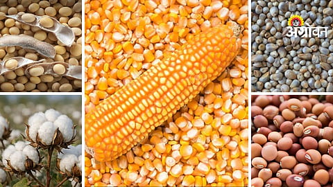Agrowon Podcast