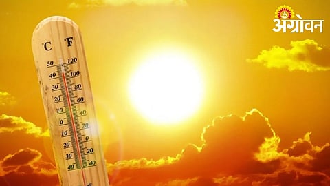 Akola Records Blistering Temperatures Above 45°C Again