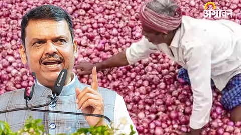 Onion Procurement