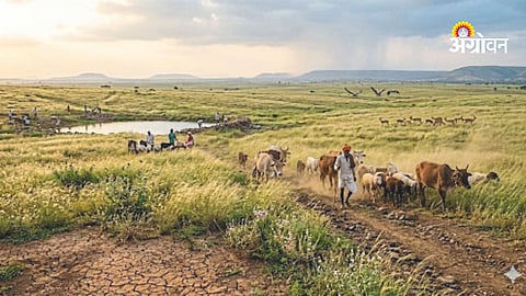 International Year of Rangelands and Pastoralists 2026