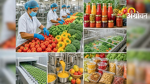 Food Processing Industry