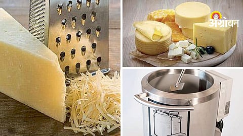 Cheese Nutrition