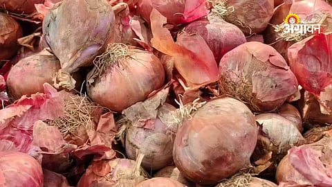 25 tons onion damaged in Narayangaon