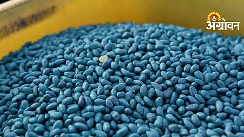 Illegal Cotton Seeds