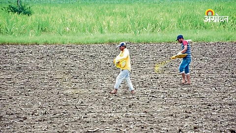 SBI PLFS 2025 employment report