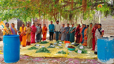Dashparni extract production in Latur