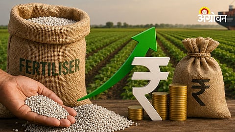 Fertiliser Subsidy