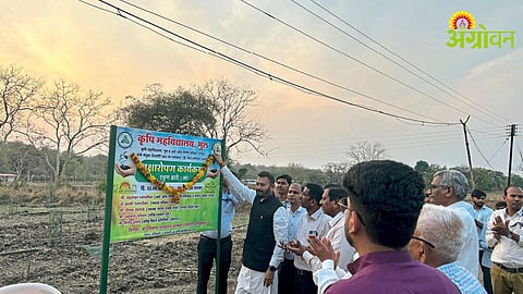 Swachhta Hi Seva Campaign