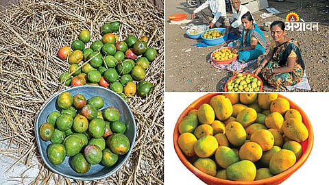 Small farmers earning from desi mango sales