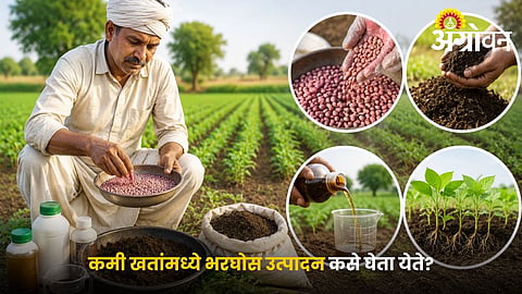Smart Fertilizer Management for Cost-Effective Farming