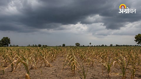 Monsoon 2026