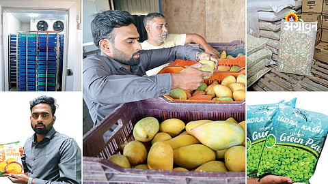 Frozen vegetable business model