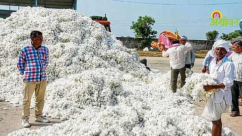 Kharif Crop Prices
