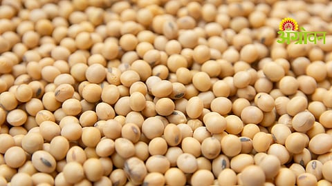 Crop Insurance Compensation