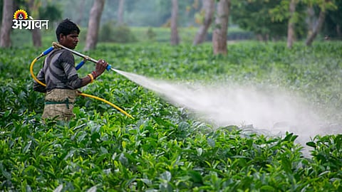 Herbicide Sale