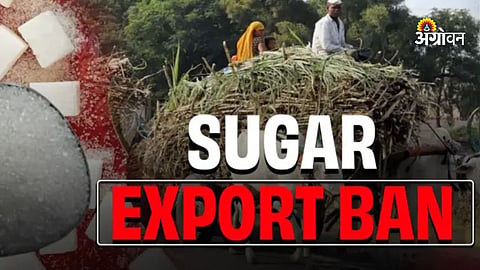 Sugar industry crisis due to export ban