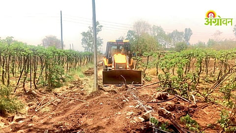 Farm Roads