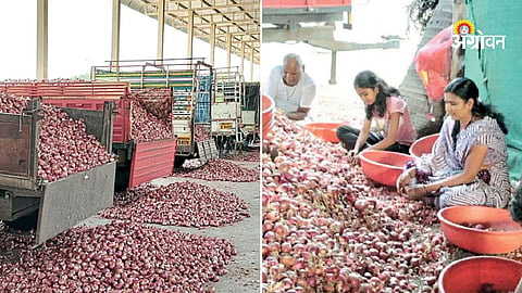 Onion Rate Issue