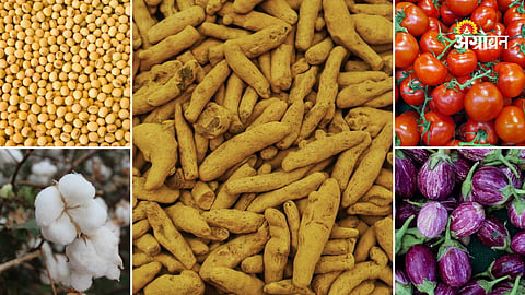 Agri commodity market update