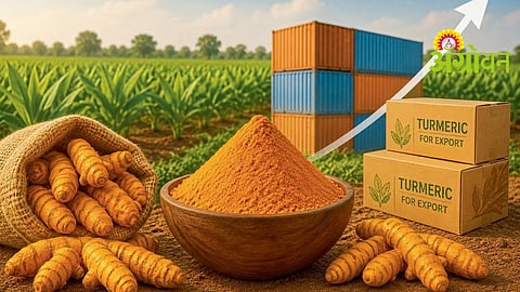 Turmeric Export Opportunities