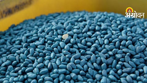 Cotton Seed Shortage