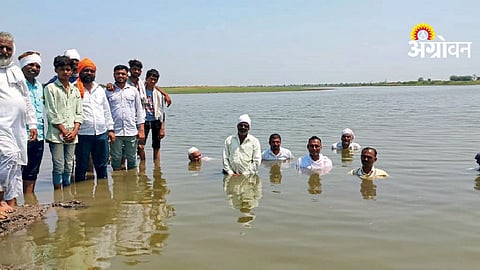 Jayakwadi Dam Backwater