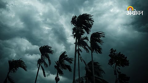 IMD forecast on monsoon progress