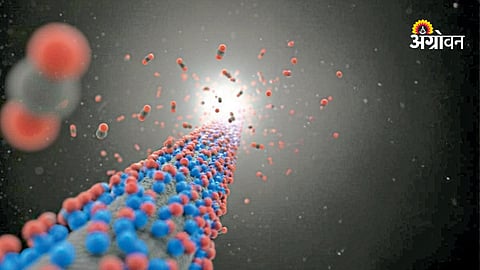 Japan scientists carbon capture technology research