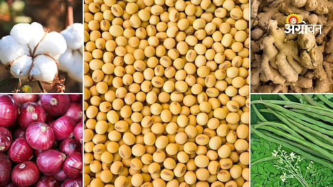 Agriculture market price trends today