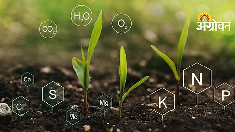 Nutrient Management