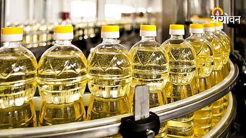 Edible Oil