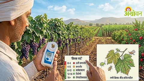Brix Technology