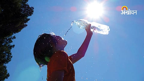 Heatstroke cases rising in Maharashtra