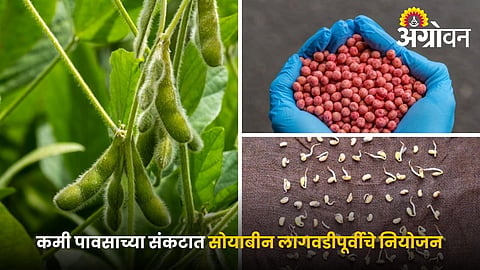 Low Rainfall Soybean Farming Tips Every Farmer Should Know