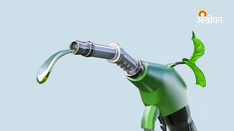 Brazil sugar industry shifting towards ethanol