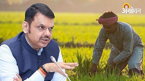 Farm Loan Waiver